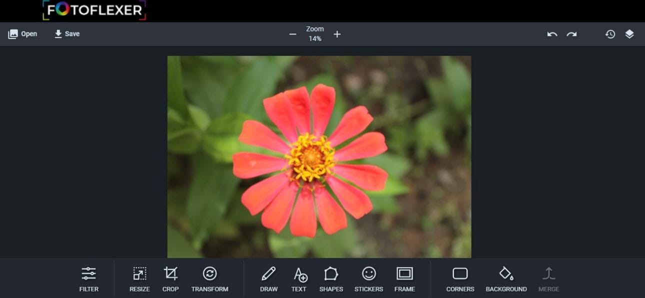 FotoFlexer free online editor